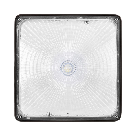 LED Canopy Light Fixture 60W 8000lm 5000K (1)